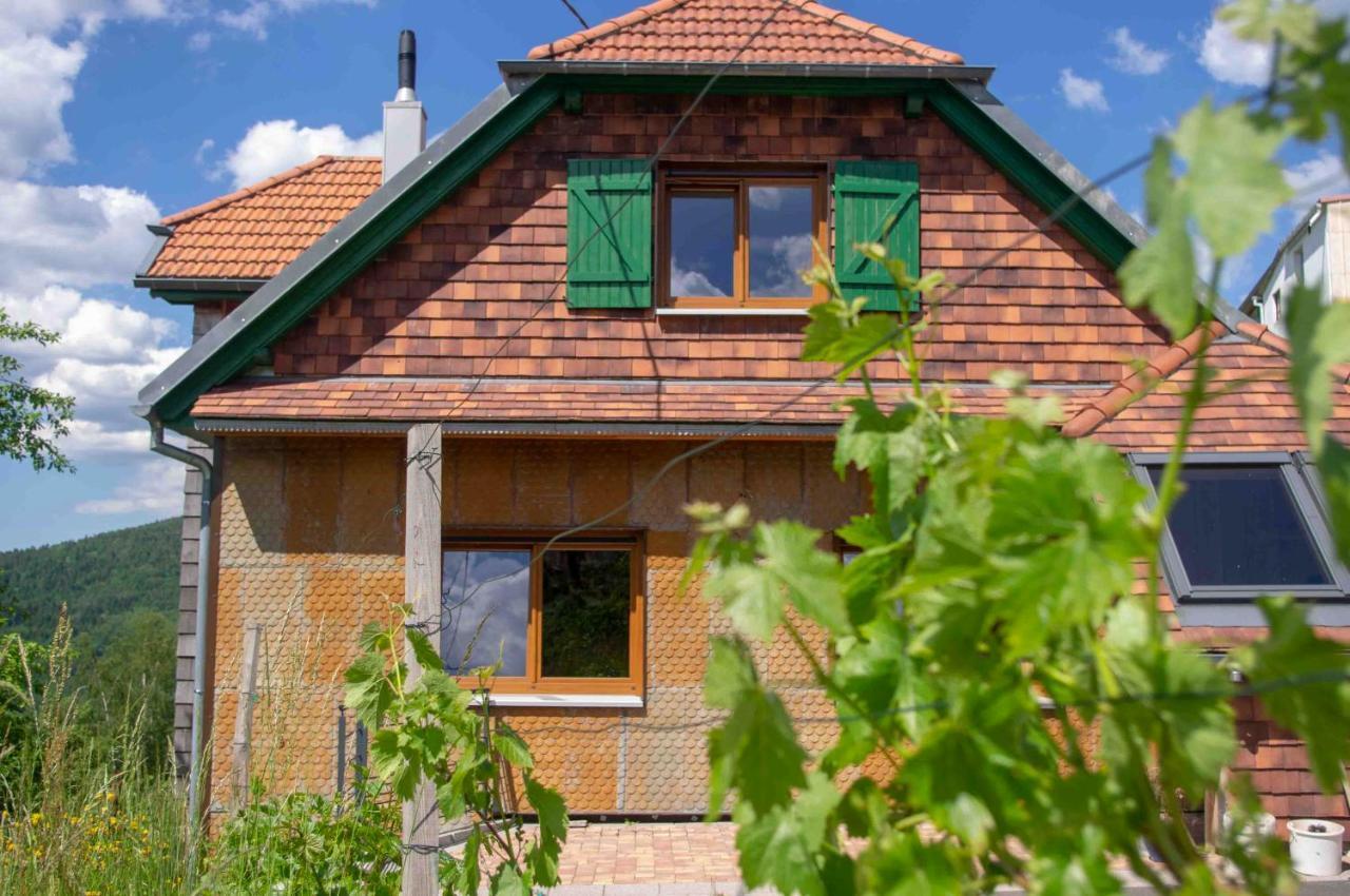 Le Gite Du Wildbach Wildersbach Kültér fotó